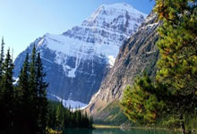 LDSPORTS- 赛地聚焦——亚冠赛后热度飙升；洛杉矶快船完成体检；引发热议；细节决定成败